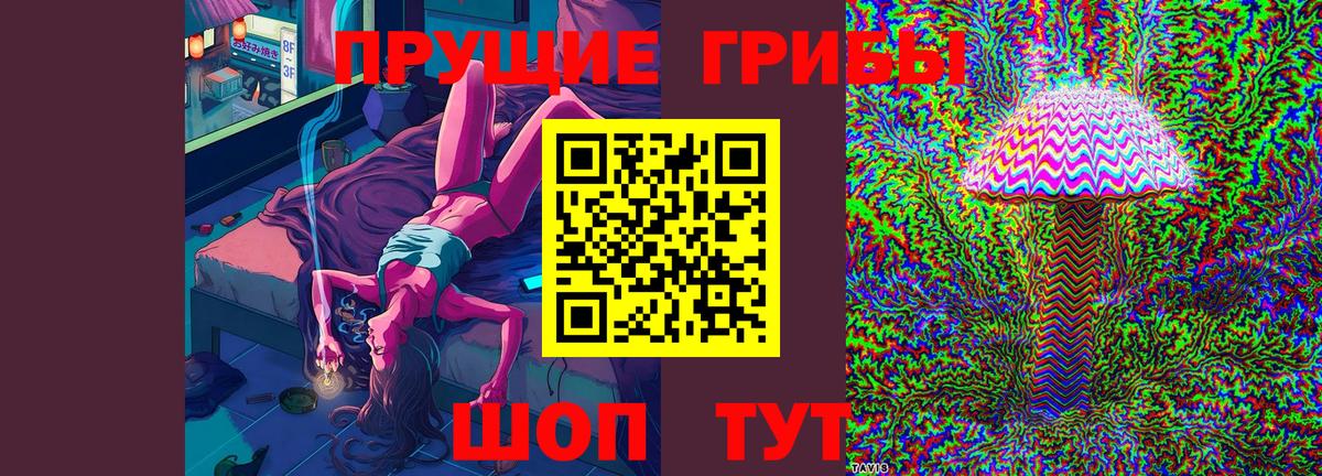 Псилоцибиновые грибы Psilocybe Сатка